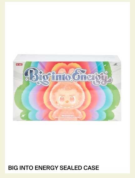 BIG INTO ENERGY SEALED CASE