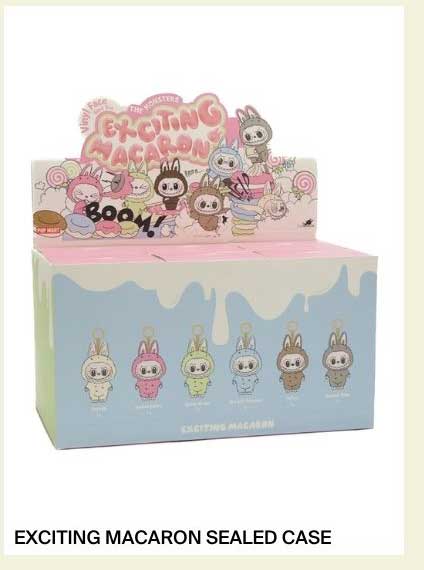 EXCITING MACARON SEALED CASE