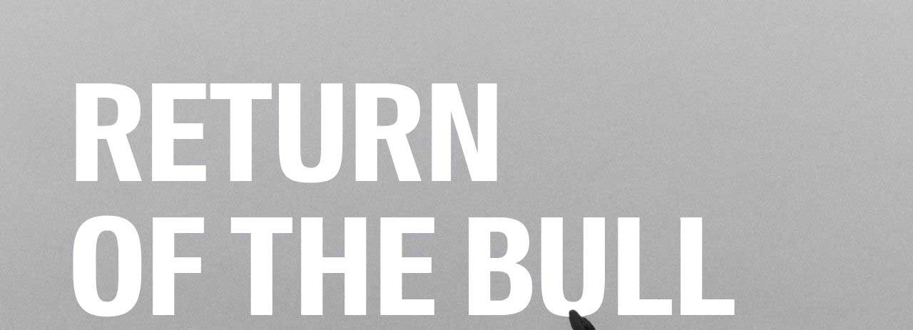 RETURN OF THE BULL