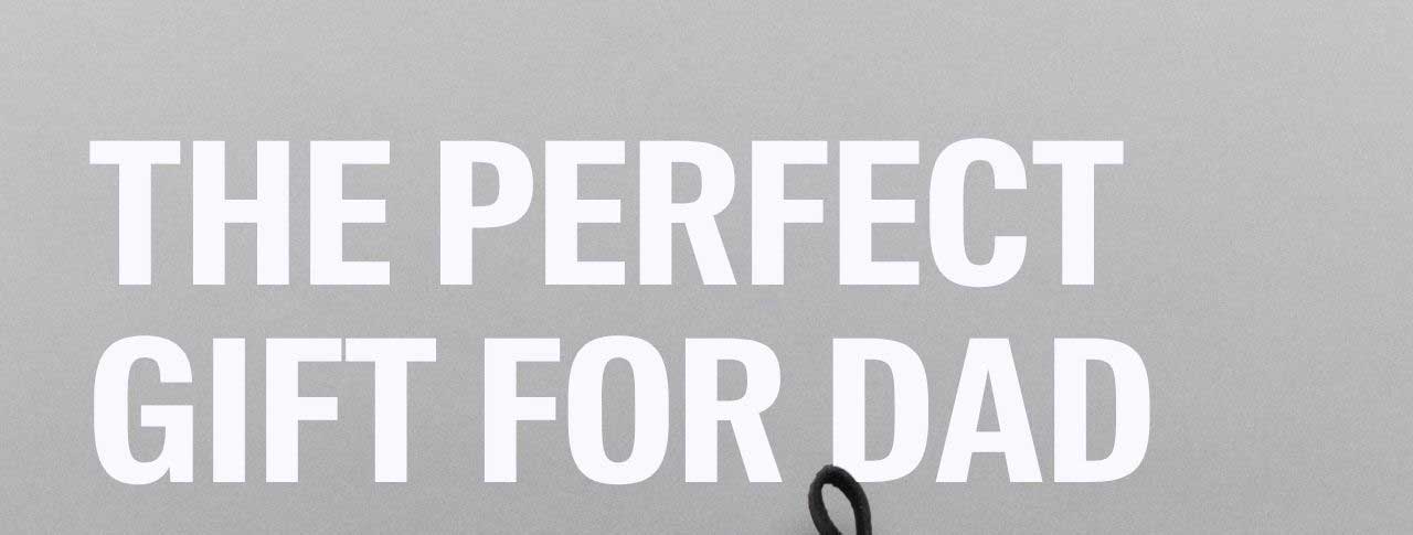 THE PERFECT GIFT FOR DAD